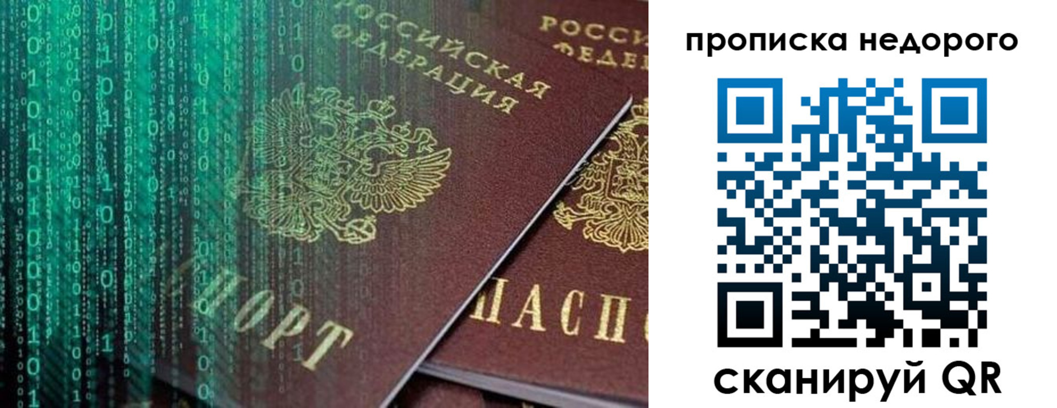 купить прописку в Мытищах